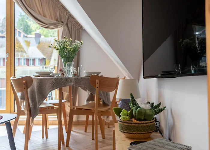 Daire Blisko Wyciagu 24